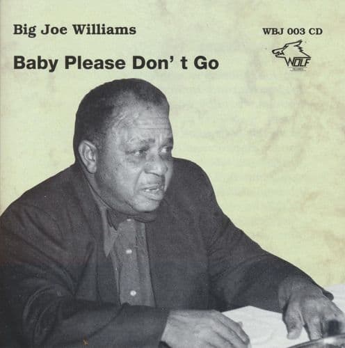 Big Joe Williams - Baby, Please Don't Go