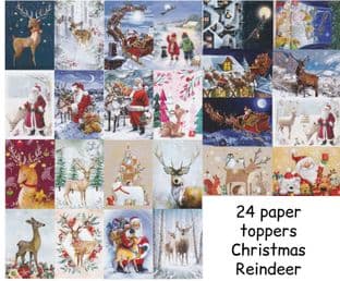 24 Sheets from The Little Book of Reindeer A6 Hunkydory Card Toppers