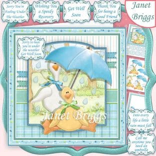 DUCKS UNDER THE WEATHER Get Well 7.5 Decoupage  Card Kit digital download