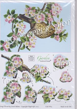 FEATHERED FRIENDS - SONG THRUSH - DIGICRAFTS DECOUPAGE FF4