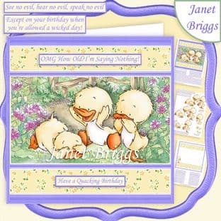 OMG HOW OLD Humorous Ducklings Various Occasions Decoupage  Card Kit digital download