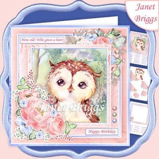 OWL HOW OLD WHO GIVES A HOOT 7.5 Decoupage Card Kit digital download