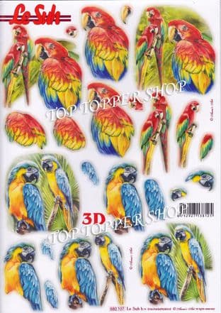 Parrots A4 Die Cut Decoupage Sheet Le Suh 680.107
