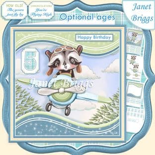 PLANE FLYING BY 7.5 Decoupage & Optional Ages Card Kit digital download