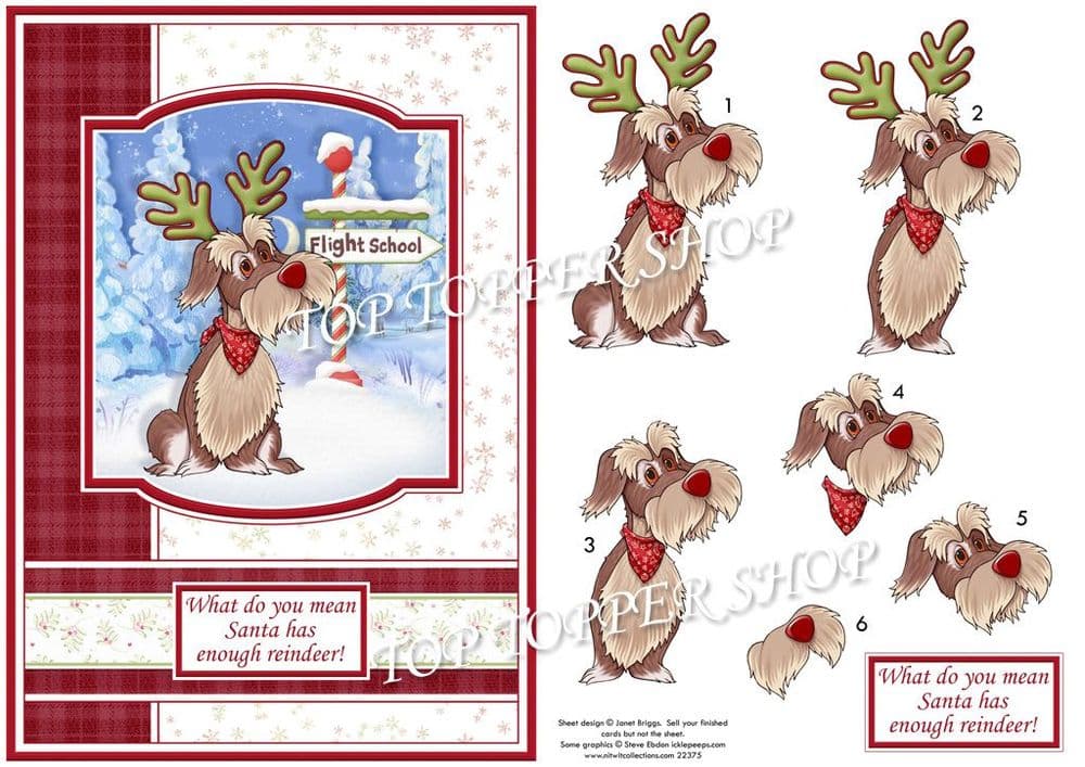 reindeer-training-a5-christmas-card-topper-decoupage-printed-sheet