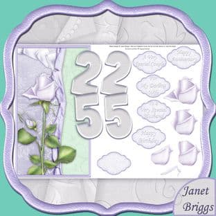 SILVER WEDDING ANNIVERSARY or Birthday Over the Side digital download 425jw