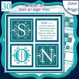 SON DEFINITION SQUARES 7.5 Humorous Birthday Quick Layer Card Kit digital download