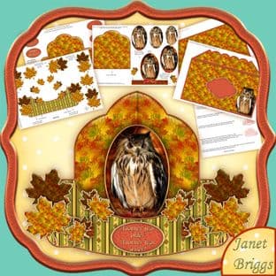 WISE OWL Push and Pull Card Downloadable Kit 490