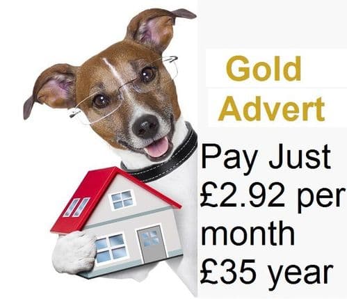 Advertise Pet Holiday Finder truly Dog Friendly holidays Here