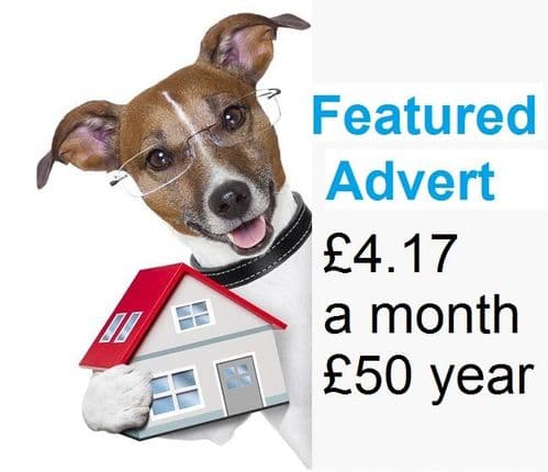 Pet Holiday Finder Featured accommodation advert, get it seen by dog owners