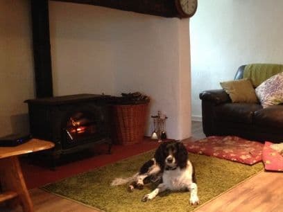 Dog Friendly Cottage Williton, Somerset | Pet Holidays