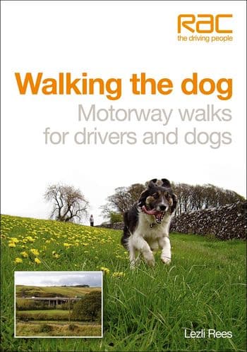 Book Walking with Dogs Motorway Walks by Driving With Dogs