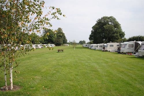 Burrows Park Dog Friendly Campsite Great Ouseburn | Yorkshire