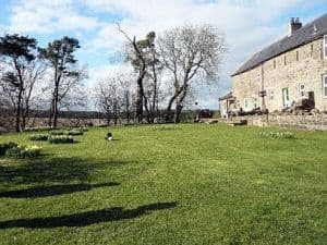 Pets-welcome Cottages Haltwhistle | Scotchcoulthard Holiday Cottages Northumberland